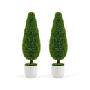 Potted Topiary Plant With Plastic Nursery Pot