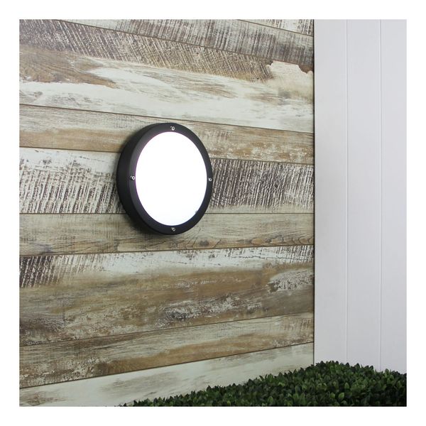 Primo Ip65 Premium Outdoor Bulkhead