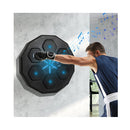Smart Punching Boxing Electronic