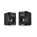 Monster Bluetooth Bookshelf Speaker L