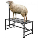 Goat & Sheep Stand, 47x23 inch Livestock Stand, Metal Livestock Milking and Shearing Stand 21" to 33" Adjustable Height, with Headpiece and Nose Loop, 500lbs Loading Weight, Black