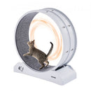 Cat Exercise Wheel 31.5 in Large Indoor Cat Running Wheel Treadmill White