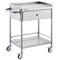 VEVOR Medical Cart, 2 Layers Stainless Steel Cart 100 kg Weight Capacity, Lab Utility Cart with 360° Silent Wheels and a Drawer for Lab, Clinic, Kitchen, Salon