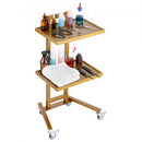 2 Tiers Stainless Steel Lab Carts with 2 Trays & 4 Silent Wheels Golden