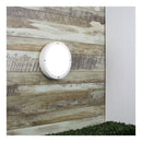 Primo Ip65 Premium Outdoor Bulkhead