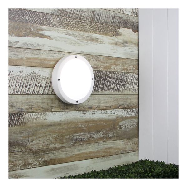 Primo Ip65 Premium Outdoor Bulkhead