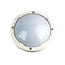 Primo Ip65 Premium Outdoor Bulkhead