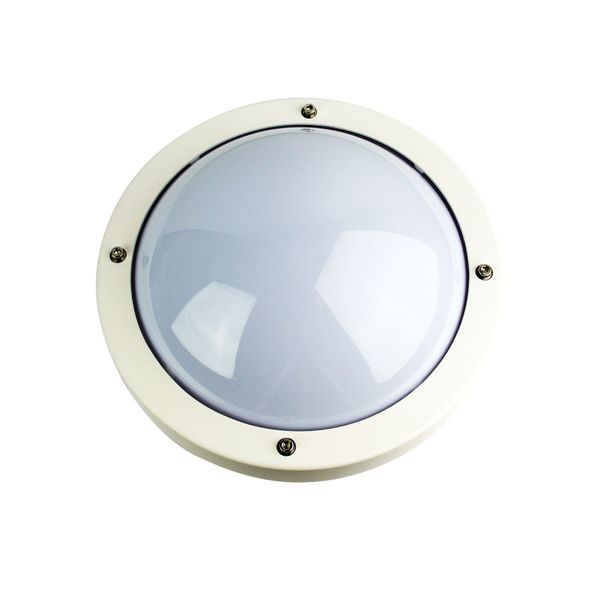 Primo Ip65 Premium Outdoor Bulkhead
