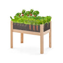 Wooden Raised Garden Bed With Drainage Holes And Acrylic Panels