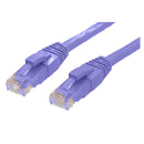 Cat 6 Ethernet Network Cable Purple Color