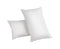 Set of 2 Goose Feathers & Down Pillow