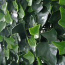 Ivy Leaf Screens / Panels UV Stabilised 1m X 1m