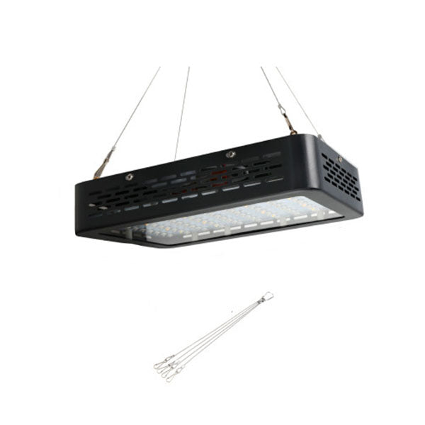 1000W Led Grow Light Full Spectrum