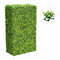 Large Portable Mixed Boxwood Hedge UV Resistant 100cm x 200cm
