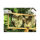 100 Grams Pure Australian Beeswax Natural Blocks
