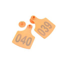 100 Pcs Cattle Ear Medium Livestock Numbered Tags