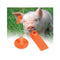 100 Pcs Cattle Ear Tags Orange Small Blank Livestock Label