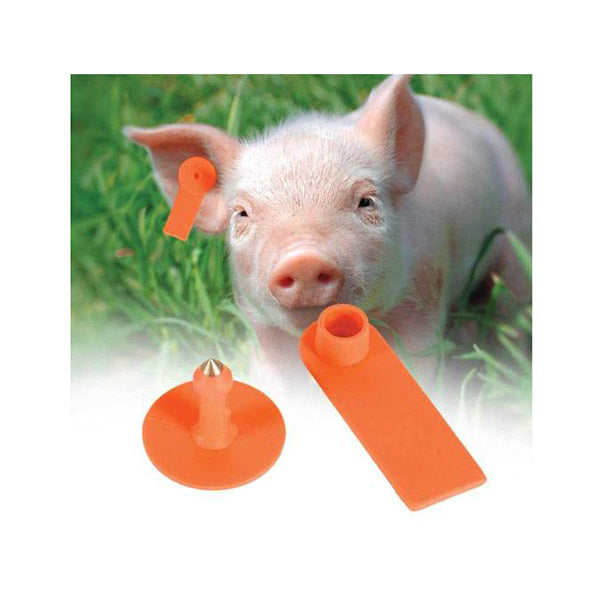 100 Pcs Cattle Ear Tags Orange Small Blank Livestock Label