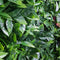 Green Meadows Vertical Garden UV Stabilised 1m X 1m