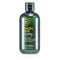 Paul Mitchell Tea Tree Lemon Sage Thickening Shampoo Energizing Body Builder 300Ml