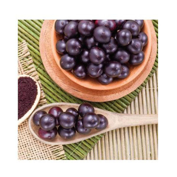 10Kg Organic Acai Powder Pure Antioxidant Superfood Amazon Berries
