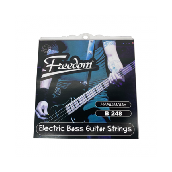 10 Pack Electric Bass Guitar Strings B248 10Pk