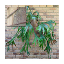 10 Pcs Brick Wall Hooks