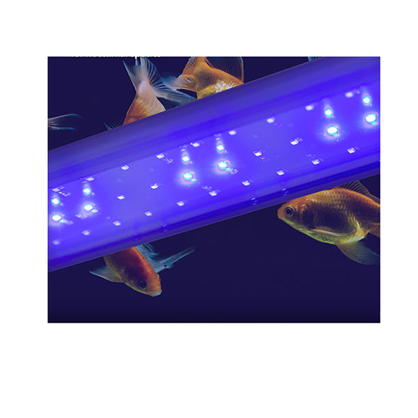 11W Aquarium Blue White Led 70Cm Adjustable