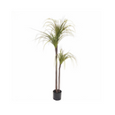 145Cm Green Artificial Indoor Dragon Blood Tree