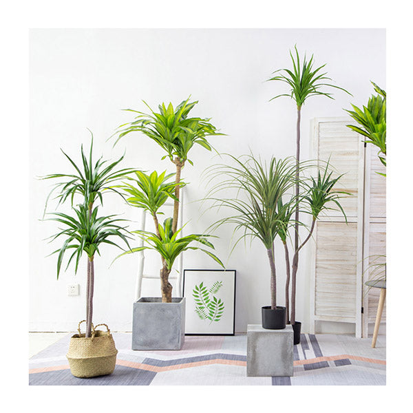 180Cm Green Artificial Indoor Brazlian Iron Tree