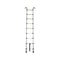 Telescopic Aluminium Ladder