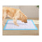 200 Pcs New Pet Dog Cat Indoor Toilet Training Pads Absorbent