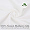 Mulberry Silk Pillow Cases Set of 2 in Various Colors_10