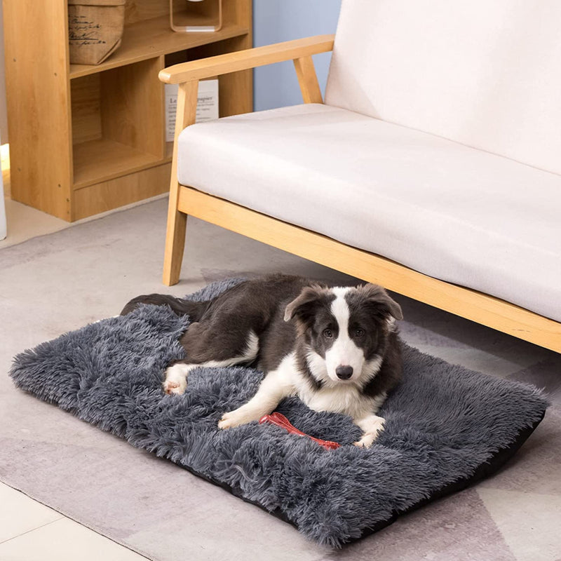 PETSWOL Plush and Cozy Pet Mat for Ultimate Comfort and Warmth_4