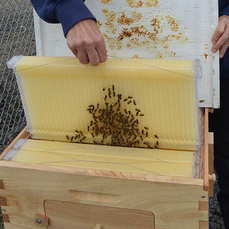 7 Pcs Unassembled Sheets Beehive Wooden Frames Beekeeping Supplies_14