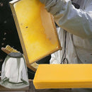 10 Pcs Unwaxed Assembled Wired Wooden Frames Beekeeping Supplies_9