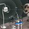 Electric Pet Automatic Sensor Water Fountain with AU Plug - Optional Filters_8