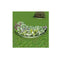20 Pcs Lawn Fence Galvanised Steel