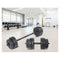 20Kg Dumbbell Set Home Gym Fitness Exercise Weights Bar Plate