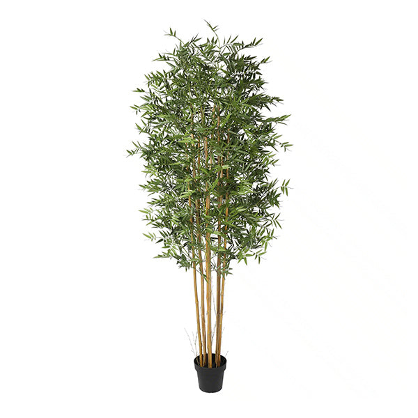 210Cm Premium Natural Cane Artificial Bamboo