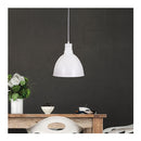 25Cm Barn Style Metal Shade