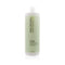 Paul Mitchell Clean Beauty Anti Frizz Shampoo 1000Ml
