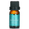 Natural Beauty Essential Oil Peppermint 10ml
