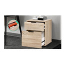 2 Drawer Filing Cabinet Office Shelves Storage Drawers