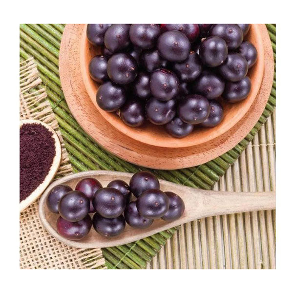 Organic Acai Powder Bags Pure Antioxidant Superfood Amazon Berries