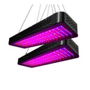 2PCS 2000W Full Spectrum Indoor LED Grow Light Kit