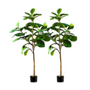 2 Pcs 155 Cm Green Artificial Indoor Qin Yerong Tree
