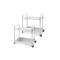 2 Pcs 2 Tier Stainless Steel Kitchen Trolley Utility Medium