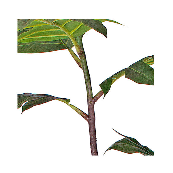 2 Pcs 90 Cm Artificial Natural Green Split Leaf Philodendron Tree