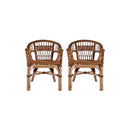 2 Pcs Outdoor Chairs Natural Rattan Brown